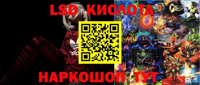 jwh Краснодар
