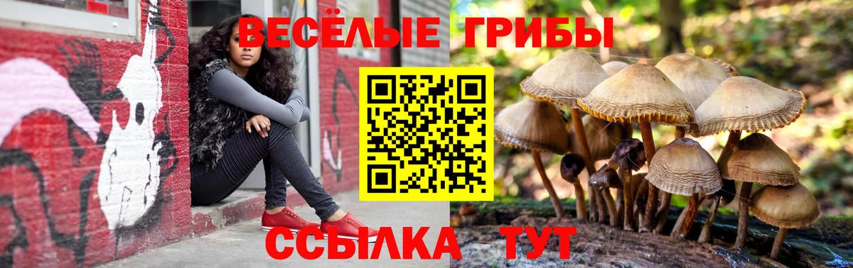 Казань  Галлюциногенные грибы Cubensis  Вход с VPN  Галлюциногенные грибы прущие грибы 