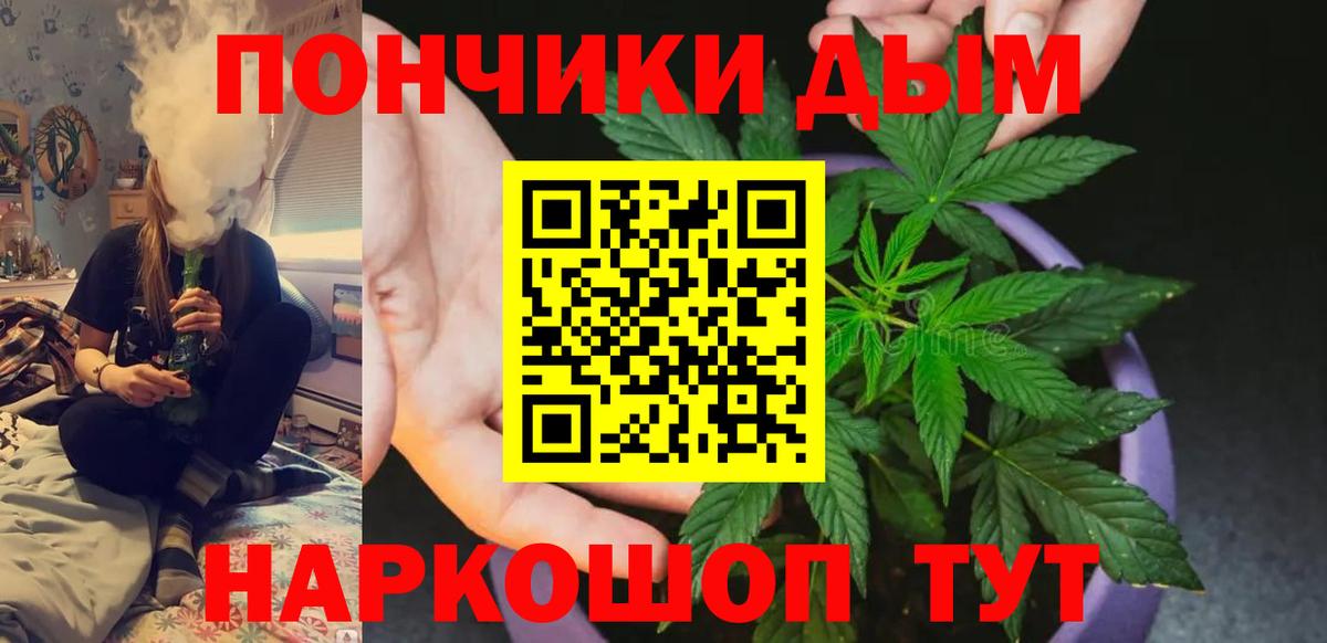Каннабис планчик Казань
